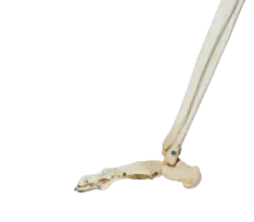 TTK My Kitchen Diaries