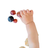 TTK My Kitchen Diaries