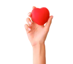 TTK My Kitchen Diaries